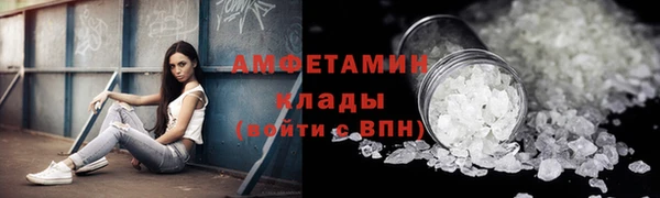 прущие грибы Протвино