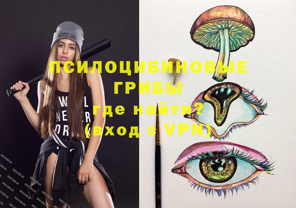 PSILOCYBIN Алексин