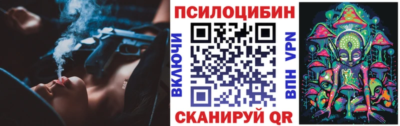 закладки  Каргат  Псилоцибиновые грибы мицелий 